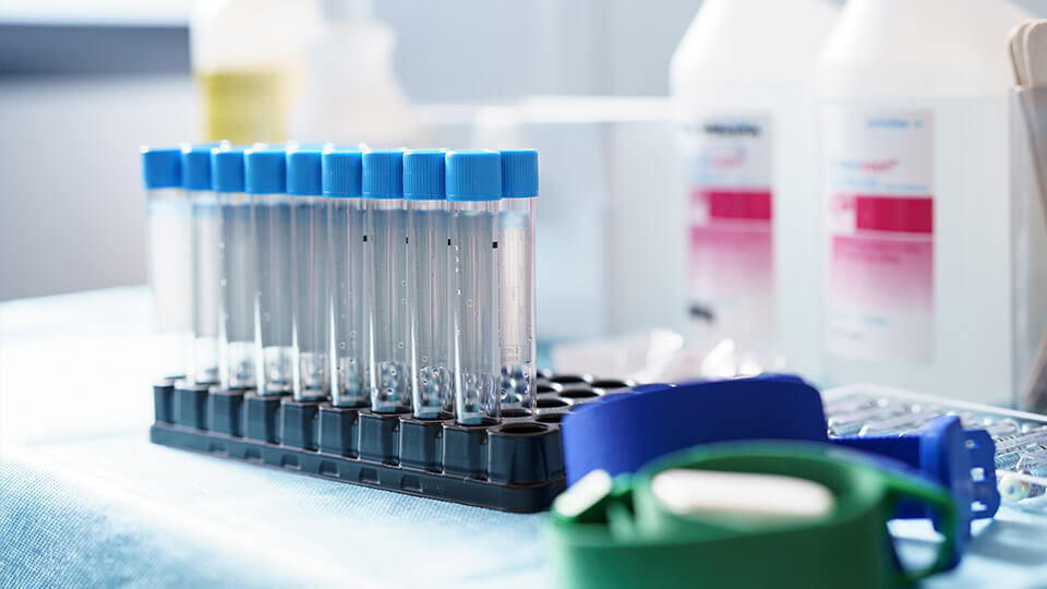 Estudios Farmacocinéticos